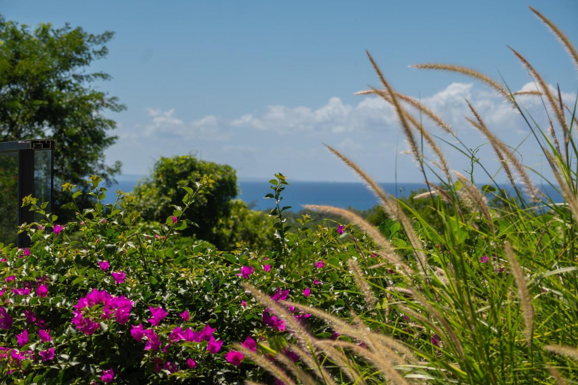 Tropic & Chic Villa Sainte-Anne  Luaran gambar